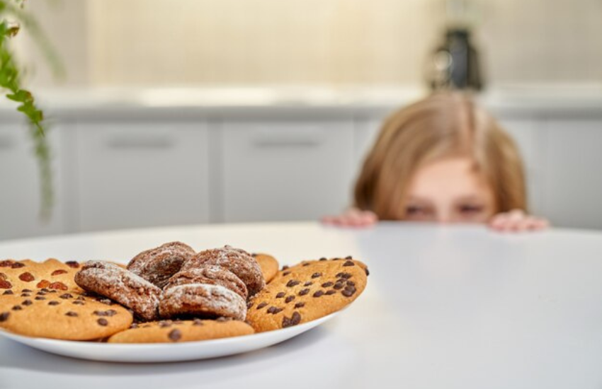 jim multari insomnia cookies 